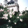 Город Эльтвилль на Рейне, Германия 1992